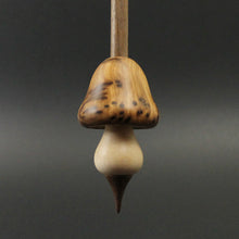 Load image into Gallery viewer, Mushroom support spindle in thuya burl, maple, and walnut