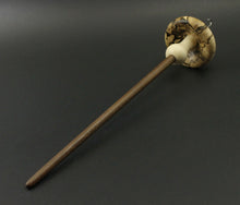 Load image into Gallery viewer, Mushroom drop spindle in spalted hackberry, holly, and walnut