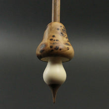 Load image into Gallery viewer, Mushroom support spindle in elm burl, holly, and walnut