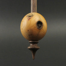 Load image into Gallery viewer, Egg bead spindle in yew and walnut