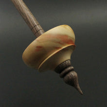 Load image into Gallery viewer, Tibetan style spindle in flame box elder burl and walnut