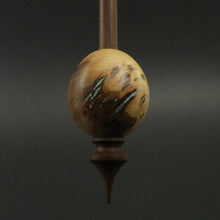 Load image into Gallery viewer, Egg bead spindle in elm burl and walnut
