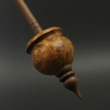 Load image into Gallery viewer, Cauldron spindle in amboyna burl and walnut