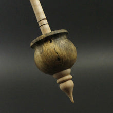 Load image into Gallery viewer, Cauldron spindle in buckeye burl and curly maple