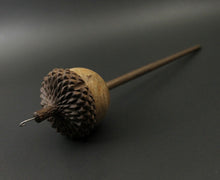 Load image into Gallery viewer, Acorn drop spindle in maple burl and walnut