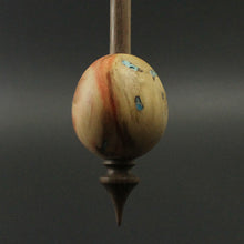 Load image into Gallery viewer, Egg bead spindle in flame box elder and walnut with turquoise inlay