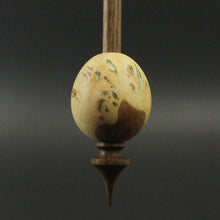 Load image into Gallery viewer, Egg bead spindle in elm burl and walnut with turquoise inlay