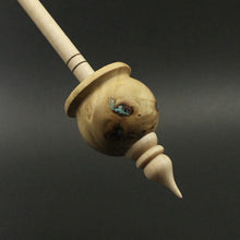 Load image into Gallery viewer, Cauldron spindle in mappa burl and curly maple with turquoise inlay (&lt;font color=&quot;red&quot;&lt;b&gt;RESERVED&lt;/b&gt;&lt;/font&gt; for Kristin)