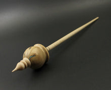 Load image into Gallery viewer, Cauldron spindle in mappa burl and curly maple with turquoise inlay (&lt;font color=&quot;red&quot;&lt;b&gt;RESERVED&lt;/b&gt;&lt;/font&gt; for Kristin)