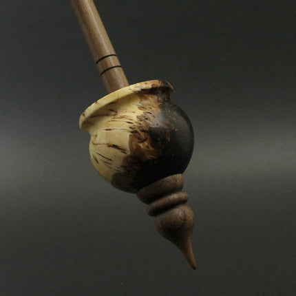 Cauldron spindle in elm burl, African blackwood, and walnut