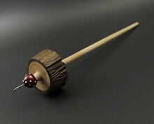 Load image into Gallery viewer, Toadstool stump drop spindle in walnut and curly maple