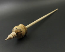 Load image into Gallery viewer, Cauldron spindle in spalted maple and curly maple