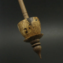 Load image into Gallery viewer, Teacup spindle in maple burl and walnut
