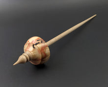 Load image into Gallery viewer, Tibetan style spindle in flame box elder burl and curly maple