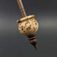 Load image into Gallery viewer, Cauldron spindle in elm burl and walnut