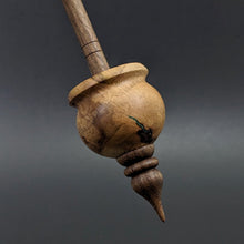 Load image into Gallery viewer, Cauldron spindle in redbud burl and walnut with malachite inlay