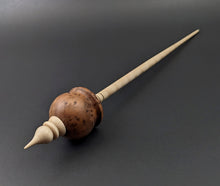 Load image into Gallery viewer, Cauldron spindle in redwood lace burl and curly maple