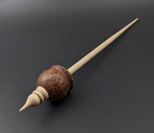 Load image into Gallery viewer, Cauldron spindle in redwood lace burl and curly maple
