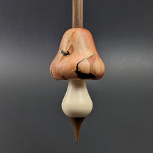 Load image into Gallery viewer, Mushroom support spindle in flame box elder, holly, and walnut