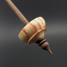 Load image into Gallery viewer, Tibetan style spindle in flame box elder and walnut