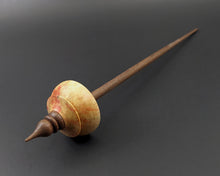 Load image into Gallery viewer, Tibetan style spindle in flame box elder and walnut