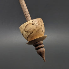 Load image into Gallery viewer, Teacup spindle in elm burl and walnut