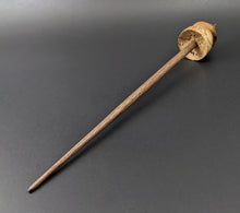 Load image into Gallery viewer, Teacup spindle in elm burl and walnut