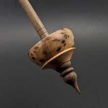 Load image into Gallery viewer, Tibetan style spindle in elm burl and walnut