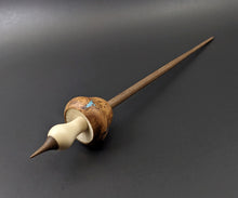 Load image into Gallery viewer, Mushroom support spindle in eucalyptus burl, holly, and walnut with turquoise inlay