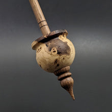 Load image into Gallery viewer, Cauldron spindle in elm burl and walnut