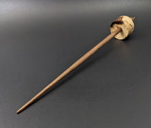 Load image into Gallery viewer, Cauldron spindle in elm burl and walnut