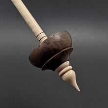 Load image into Gallery viewer, Tibetan style spindle in walnut burl and curly maple