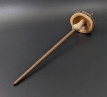 Load image into Gallery viewer, Mushroom drop spindle in yew, curly maple, and walnut