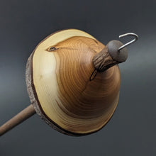 Load image into Gallery viewer, Mushroom drop spindle in yew, curly maple, and walnut