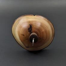 Load image into Gallery viewer, Mushroom drop spindle in yew, curly maple, and walnut
