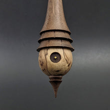 Load image into Gallery viewer, Wee folk spindle in elm burl and walnut