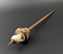 Load image into Gallery viewer, Mushroom support spindle in elm burl, holly, and walnut