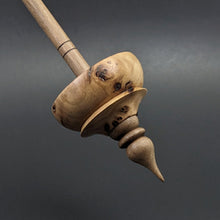 Load image into Gallery viewer, Tibetan style spindle in eucalyptus burl and walnut