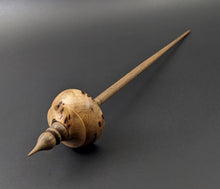 Load image into Gallery viewer, Tibetan style spindle in eucalyptus burl and walnut