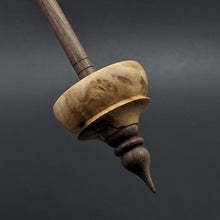 Load image into Gallery viewer, Tibetan style spindle in cottonwood burl and walnut