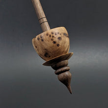 Load image into Gallery viewer, Teacup spindle in elm burl and walnut
