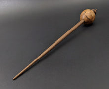 Load image into Gallery viewer, Egg bead spindle in eucalyptus burl and walnut with turquoise inlay