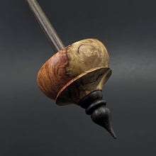 Load image into Gallery viewer, Tibetan style spindle in amboyna burl and ebonized walnut