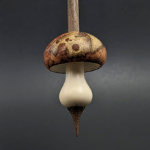 Load image into Gallery viewer, Mushroom support spindle in amboyna burl, holly, and walnut