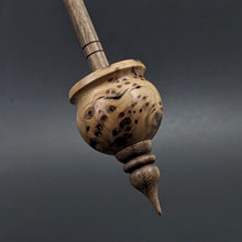 Load image into Gallery viewer, Cauldron spindle in elm burl and walnut