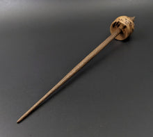 Load image into Gallery viewer, Cauldron spindle in elm burl and walnut