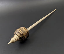 Load image into Gallery viewer, Cauldron spindle in spalted maple and curly maple