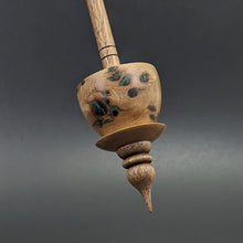 Load image into Gallery viewer, Teacup spindle in elm burl and walnut with malachite inlay