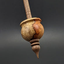 Load image into Gallery viewer, Cauldron spindle in amboyna burl and walnut