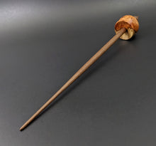 Load image into Gallery viewer, Cauldron spindle in amboyna burl and walnut